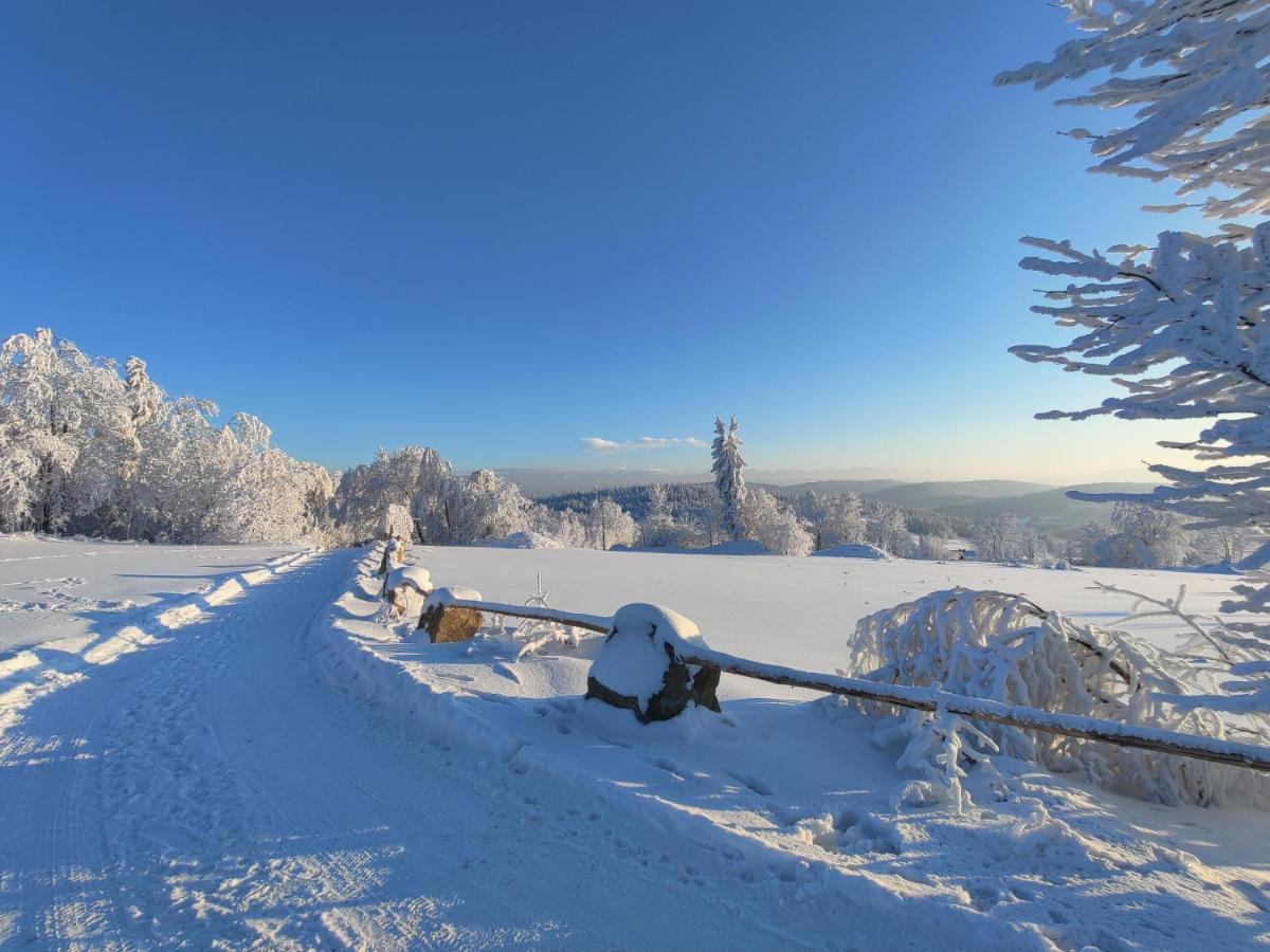 Wrzosowy Dwor - Spa Skomielna Czarna Exteriér fotografie