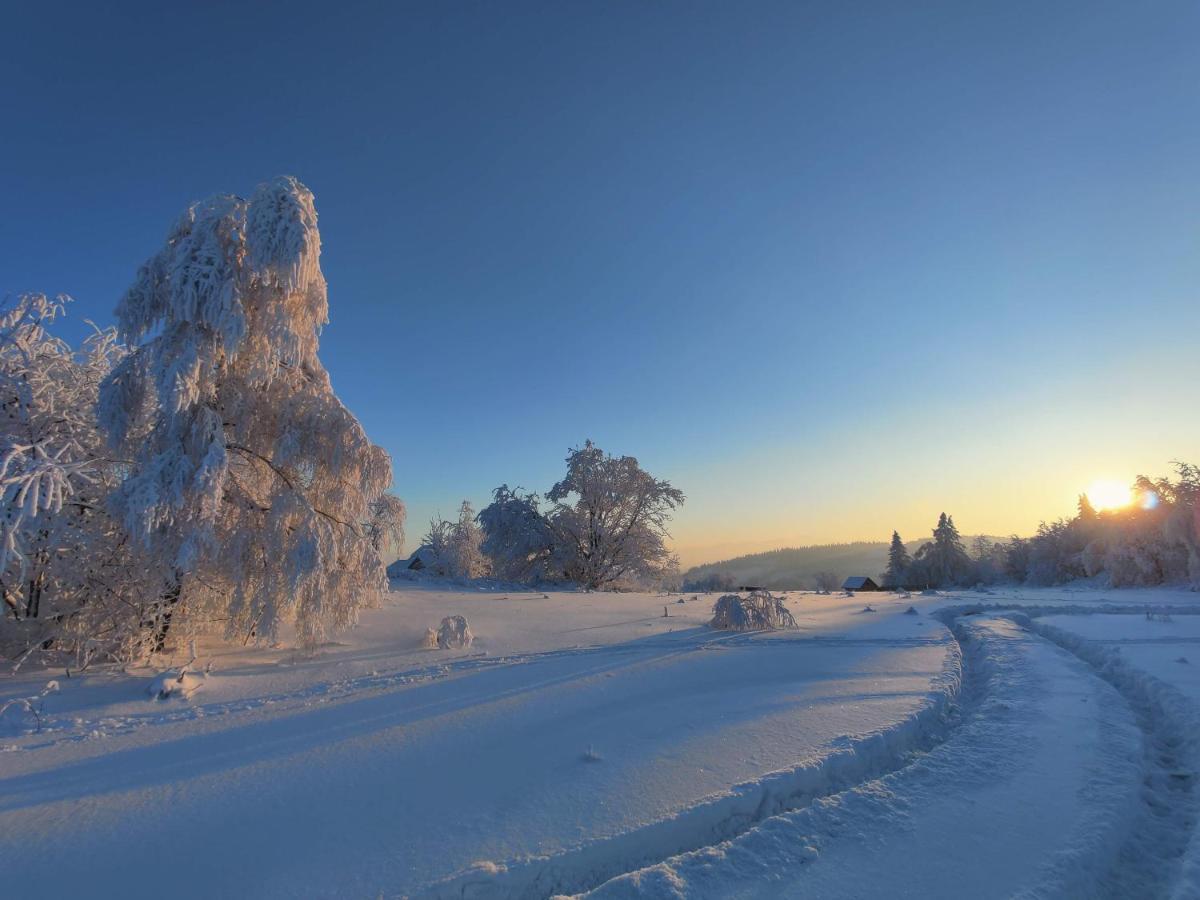Wrzosowy Dwor - Spa Skomielna Czarna Exteriér fotografie