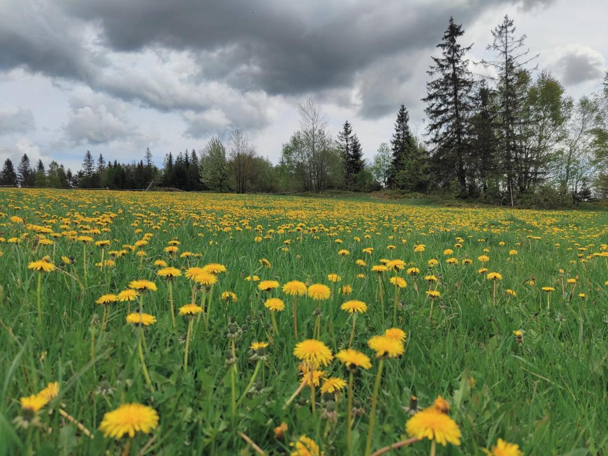 Wrzosowy Dwor - Spa Skomielna Czarna Exteriér fotografie